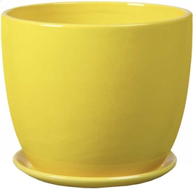 Polnix Amsterdam 20 x 18cm Yellow