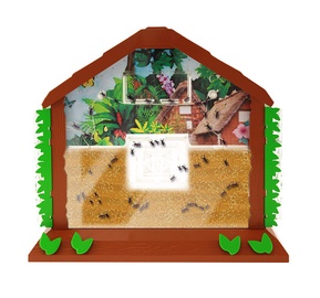 Intelektuāla rotaļlieta Toy ant village 1833