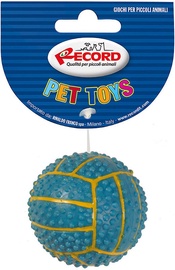 Record Volley Ball 6.5cm