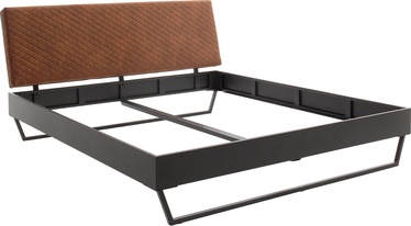 Lova Meise Möbel Boston 1, pilka, 222.5x185 cm