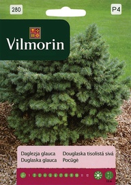 Duglāzijas koka sēklas Vilmorin