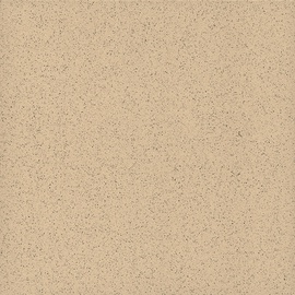 Akmens masės plytelės SD Beige 30.5 x 30.5 cm