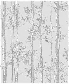 Viniliniai tapetai, Graham&Brown, Highland, 106574