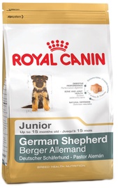 Royal Canin BHN German Shepherd Junior 12kg