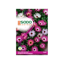 Mārpuķīšu pusdienziežu sēklas Sodo Centras Pastel, 0.5 g