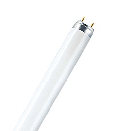 Liuminescencinė lempa Narva T8, 18W, G13, 4000K, 1350lm