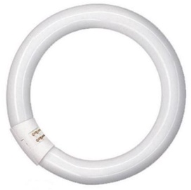 Spuldze Osram, G10q, 40 W, 3200 lm