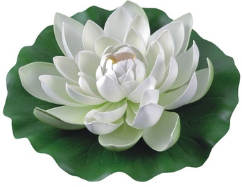 Greenmill Water Lily 28 cm