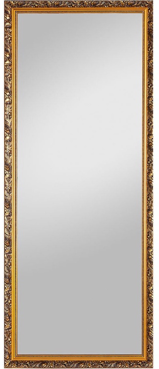 Spogulis Spiegel Profi Pius, stiprināms, 70 cm x 170 cm