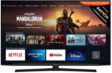 Televiisor Grundig, 49 "