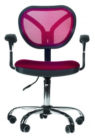 Chairman 380 TW Bordo