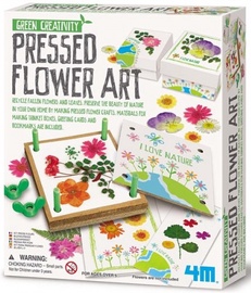 Radošais komplekts 4M Dried Flowers, daudzkrāsaina