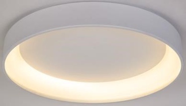 GAISMEKLIS P16250-1CL-D45 22W LED RC