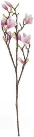 Home4you Bouquet Magnolia In Garden H90cm White/Violet 83865