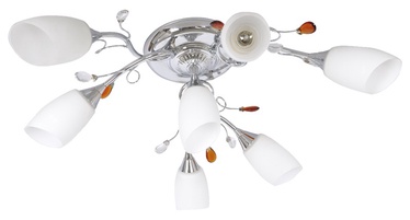 Griestu lampa Adrilux Freda-7C 7x40W G9