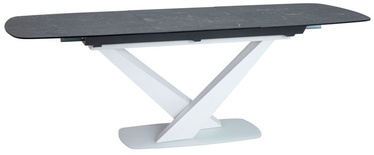 Signal Meble Table Cassino II Graphite/White Glass