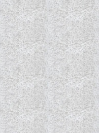 Home4you Surina-07 240x170cm Champagne