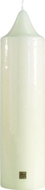 Eika Pillar Candle 50x10cm Champagne