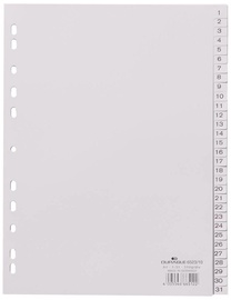 Durable Divider Index 1-31