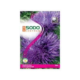 Ķīnas asteru sēklas Sodo Centras Harz, 0.5 g