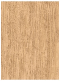 APDARES PANELIS 1801 6.4 MM DAB JASNY