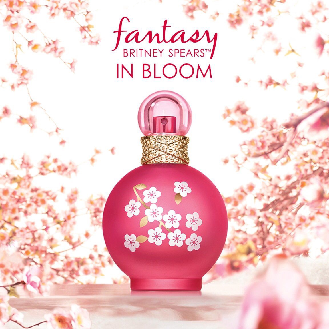 britney spears fantasy in bloom 100ml