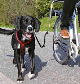 Siksna Trixie Dog Biker Set For Large Dogs, melna