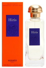 Tualetes ūdens Hermes, 100 ml