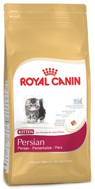 Royal Canin FBN Kitten Persian 10kg