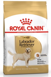 Сухой корм для собак Royal Canin Labrador Retriever, курица, 3 кг