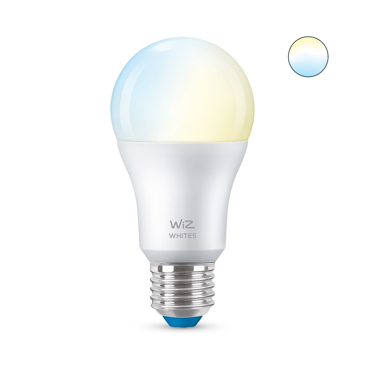 Lambipirn WiZ LED, A60, mitmevärviline, E27, 8 W, 806 lm