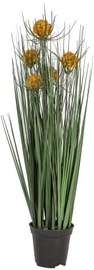 Home4you Bouquet Herbarium 5pcs With Pot In Garden H100cm Orange 83843
