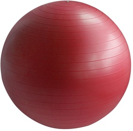 EB Fit Gym Ball 55cm Red