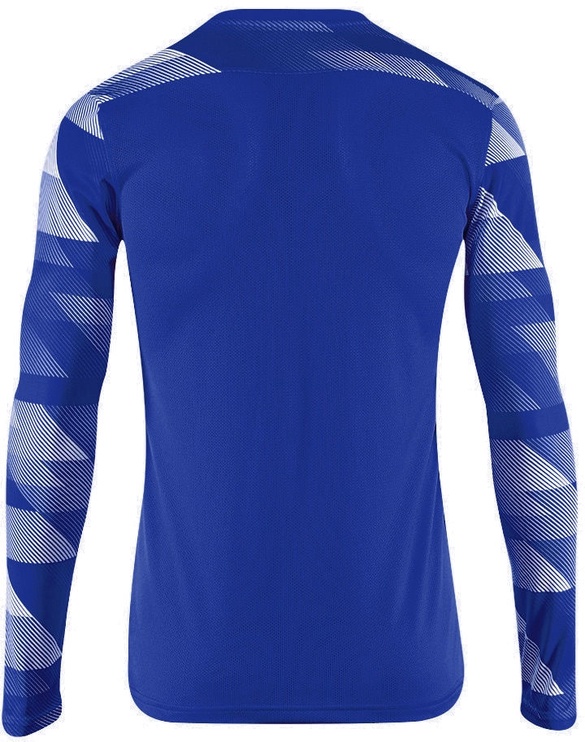 Футболка с длинными рукавами, детские Nike Dry Park IV Jersey, синий, XL