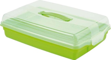 Curver Cake Transporting Box Rectangular 45x29,5x11,1cm Green