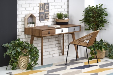 Halmar B-38 Writing Desk Walnut