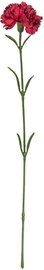Home4you Bouquet Clove In Garden H59cm Red 83863