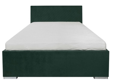 Black Red White Syntia Bed 140 Green