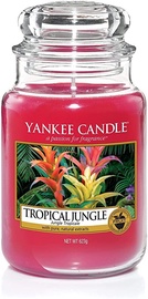 Yankee Candle Classic Large Jar Tropical Jungle 623g