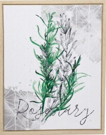 Home4you Print Picture Nature 40x50cm Rosemary