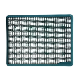 Durvju paklājs Step On Green, 43.5 x 56.5 cm