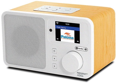 Kaasaskantav raadio Ferguson Regent i100