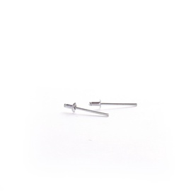 Alumīnija kniedes Haushalt, 4 mm x 6 mm, 1000 gab.