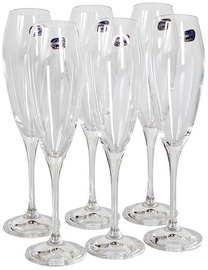 Bohemia Champagne Glass 220ml 6pcs