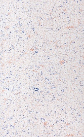Iluliist Okko ES07.29, 270 cm x 25 cm x 0.5 cm