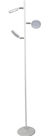 Hibrite Robin FE10231 Floor Lamp 3x5W LED White