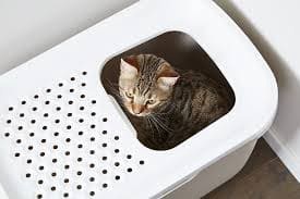 Slēgta tipa kaķu tualete Rotho 4000708080, melna, iekštelpu, 57.2 cm x 39.2 cm x 40 cm