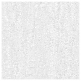 Akmens masės poliruotos plytelės Švelniai PILKA C6410, 60x60 cm