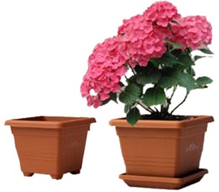 PODS PUĶU BEGONIA 25X25 GAIŠI BRŪNS (PLASTIA)
