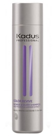 Kadus Professional Silver Shampoo 250ml